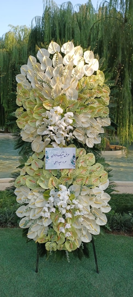 امید محمدی