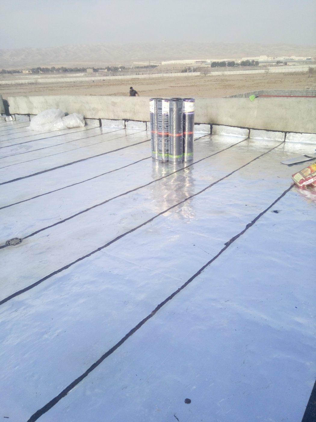 اصغر عبدالمالکی