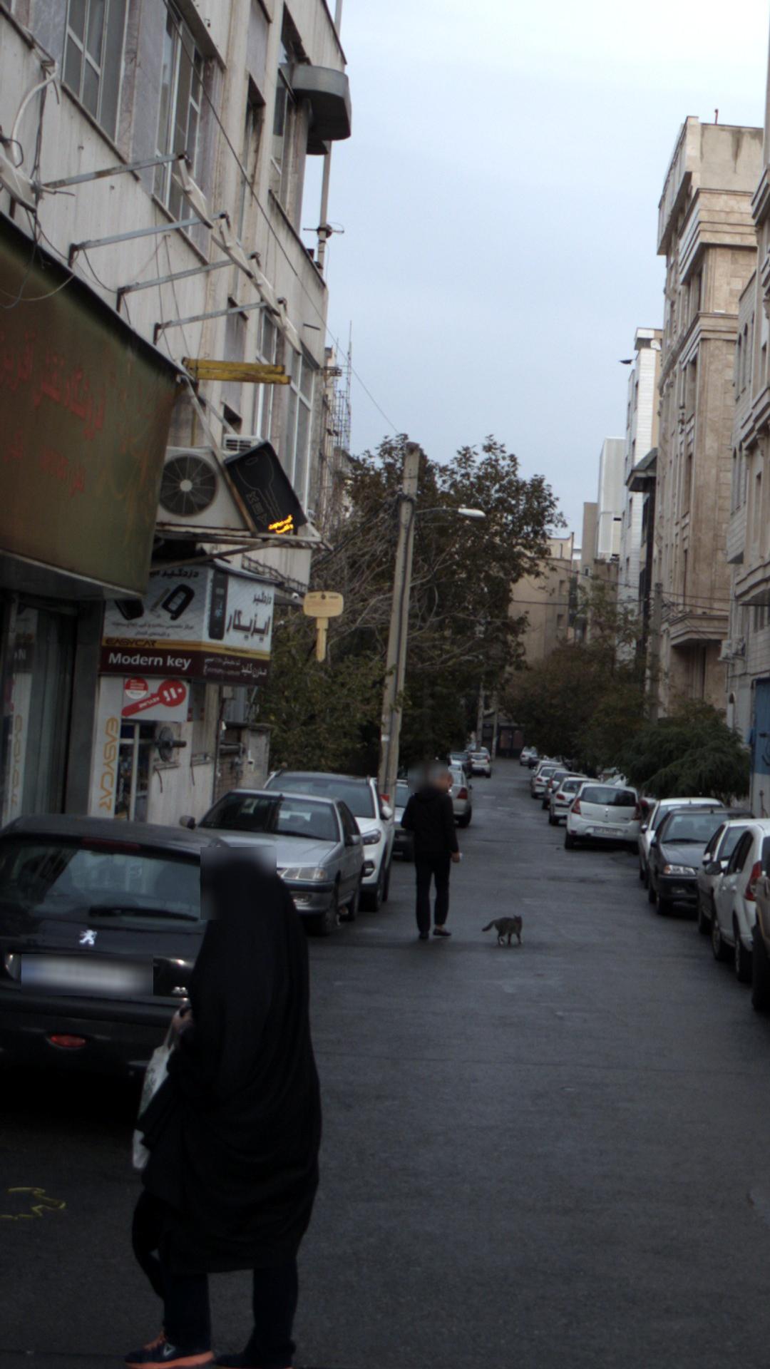 دزدگیر ایزیکار