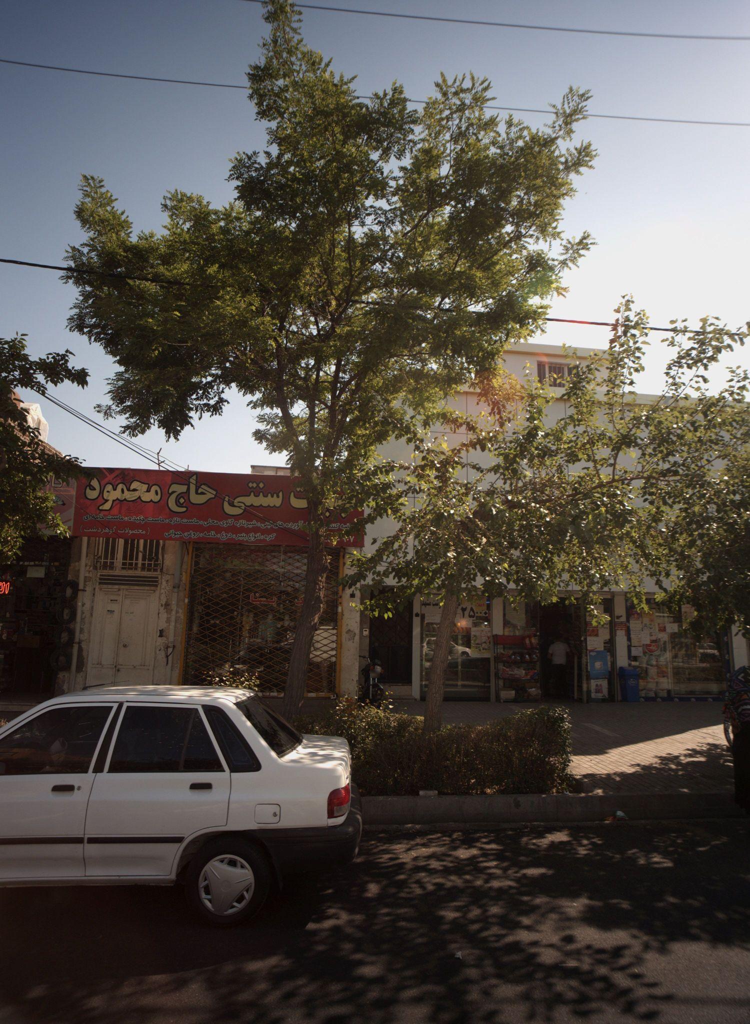 لبنیات سنتی حاج محمود