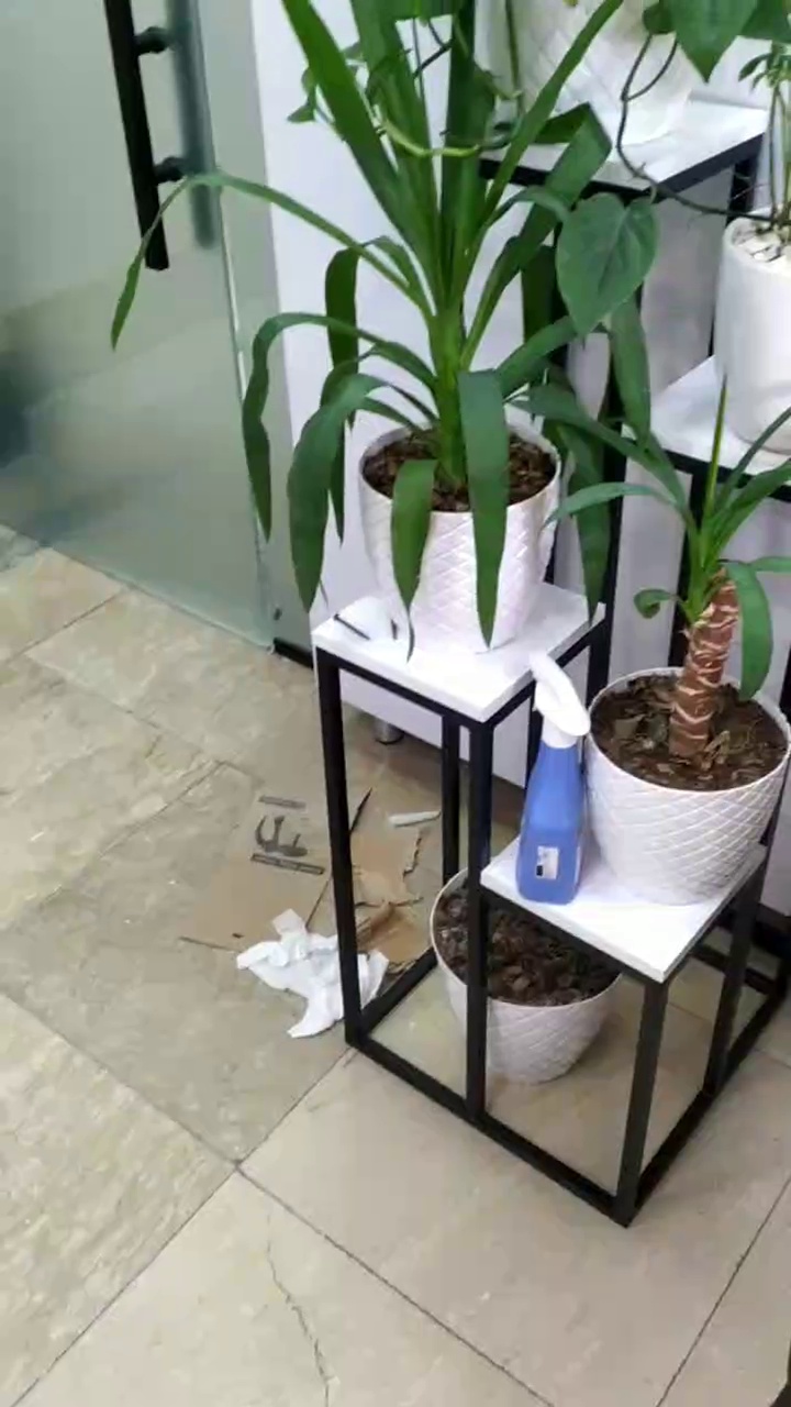 شیشه آینه قاب عکس ونک