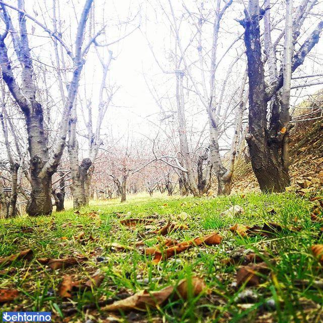 روستای رشتقون