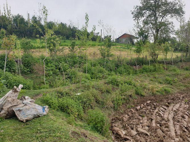 کلبه باغ بهشت