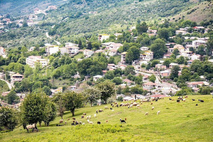 مجتمع رفاهی هَلی نو (سرتپه)