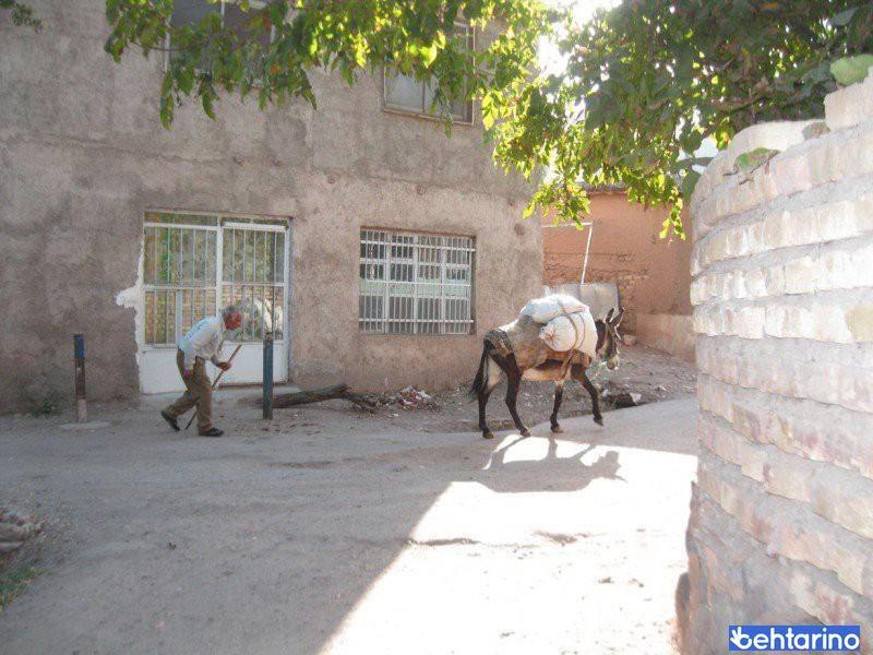 روستای زرآباد قزوین