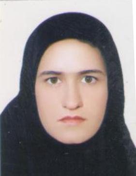 وکیل سمیه محمدی