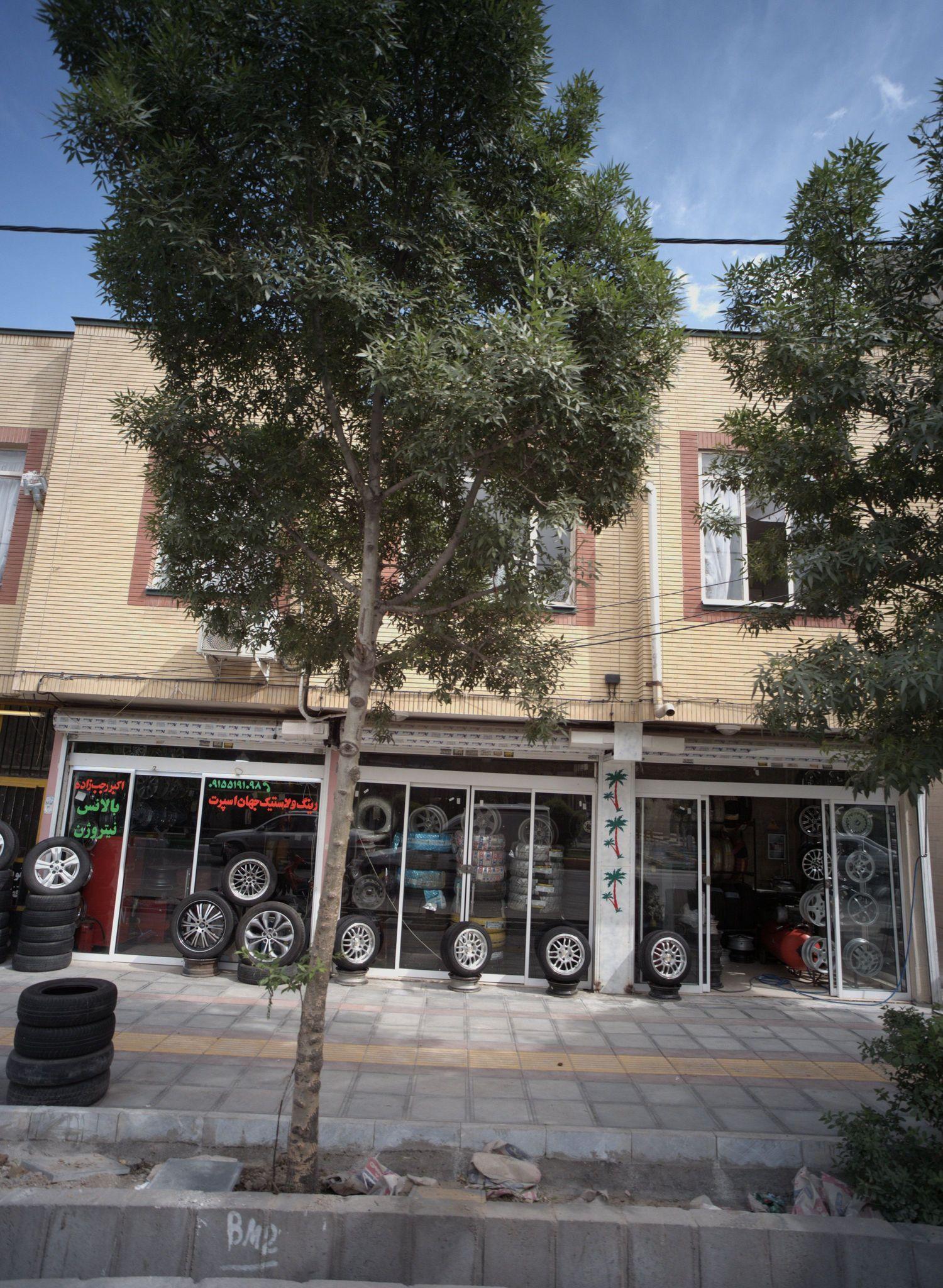 رینگ و لاستیک جهان اسپرت