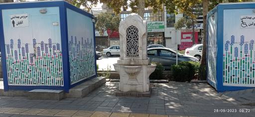 سرویس بهداشتی