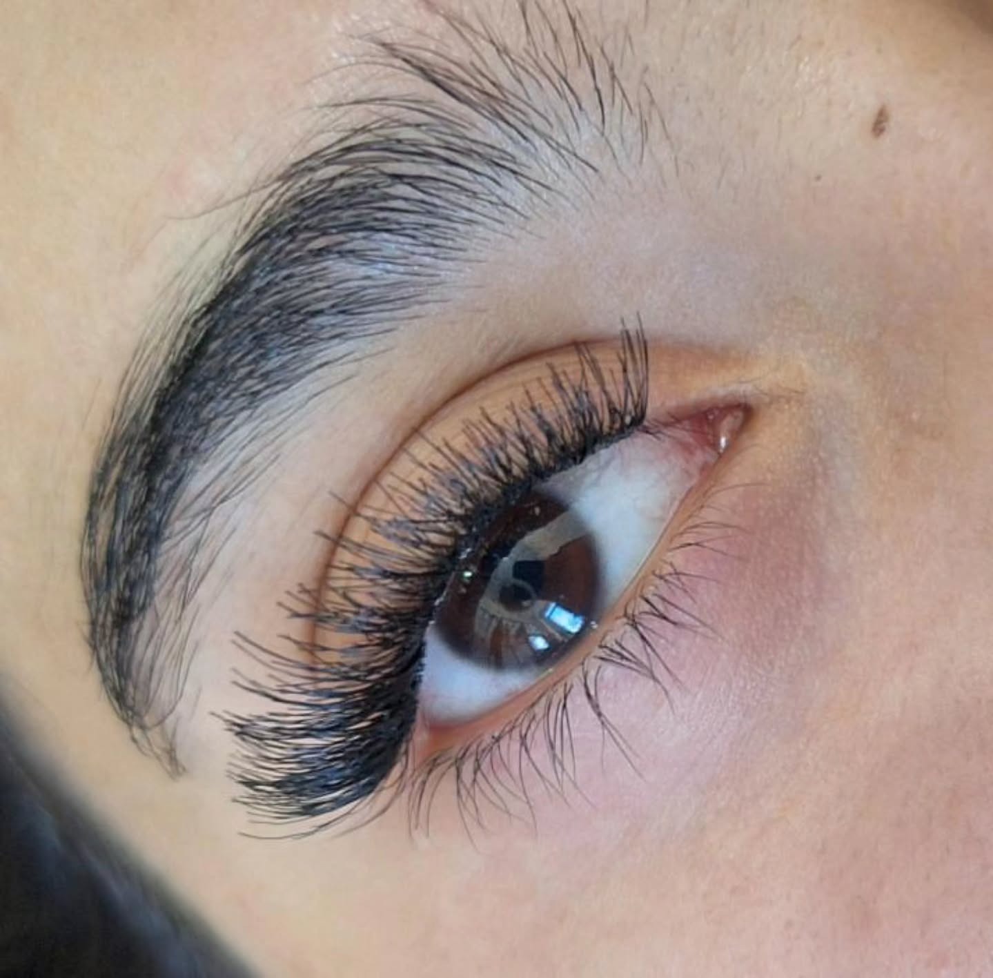 سالن پرنیان