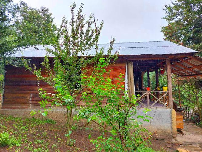 کلبه جنگلی افرا