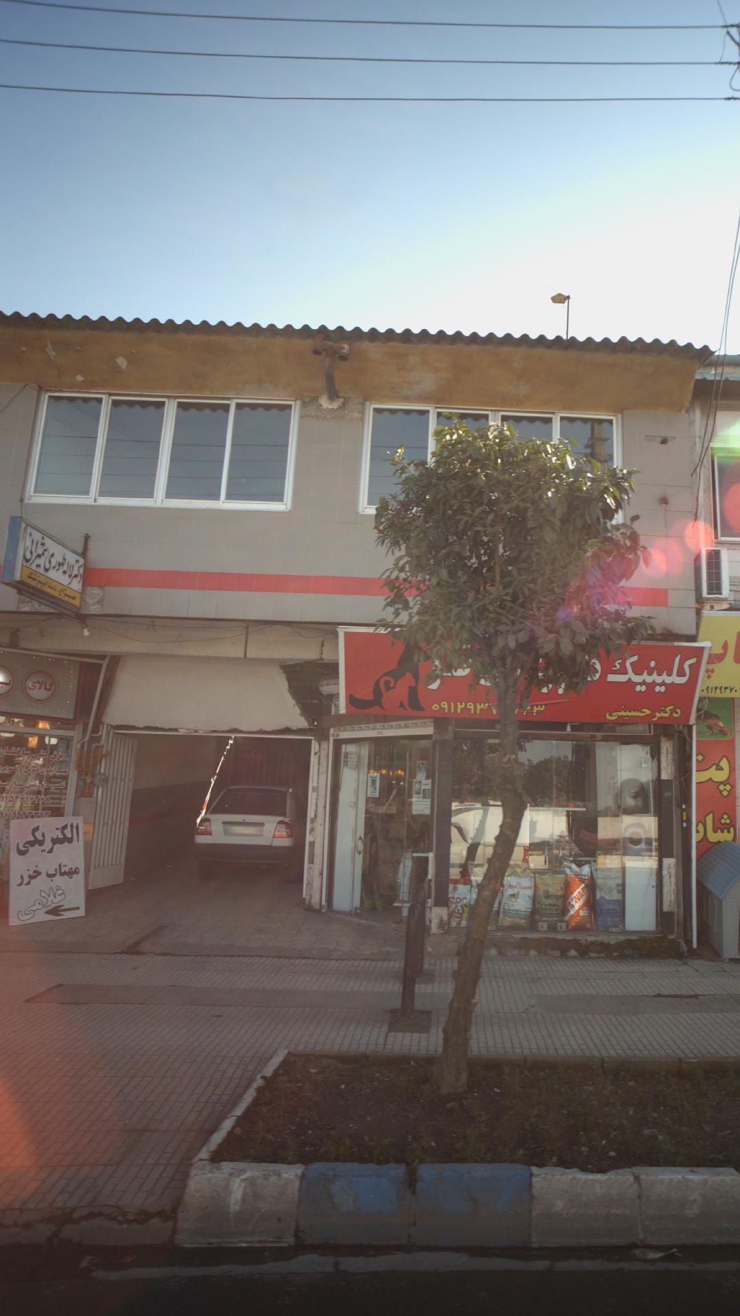 دکتر امیر افشار نجات