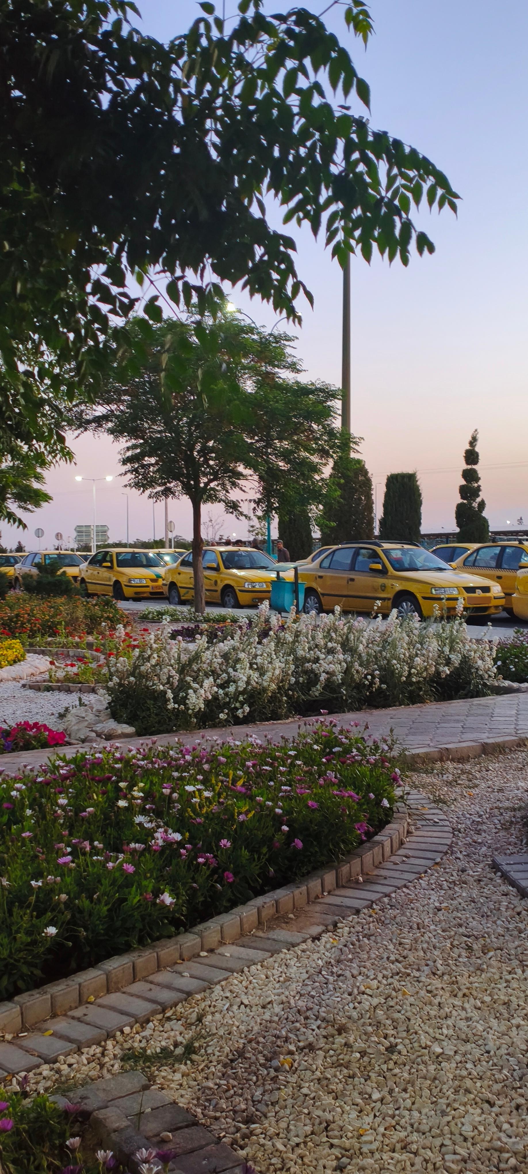 گیتی پیما یزد