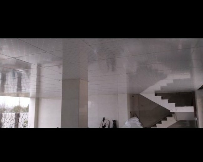 مجتبی نوروزیان سالکویه