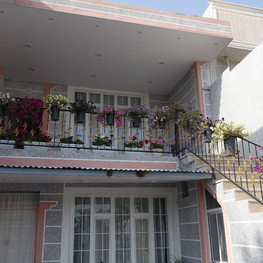 اقامتگاه ایلیا