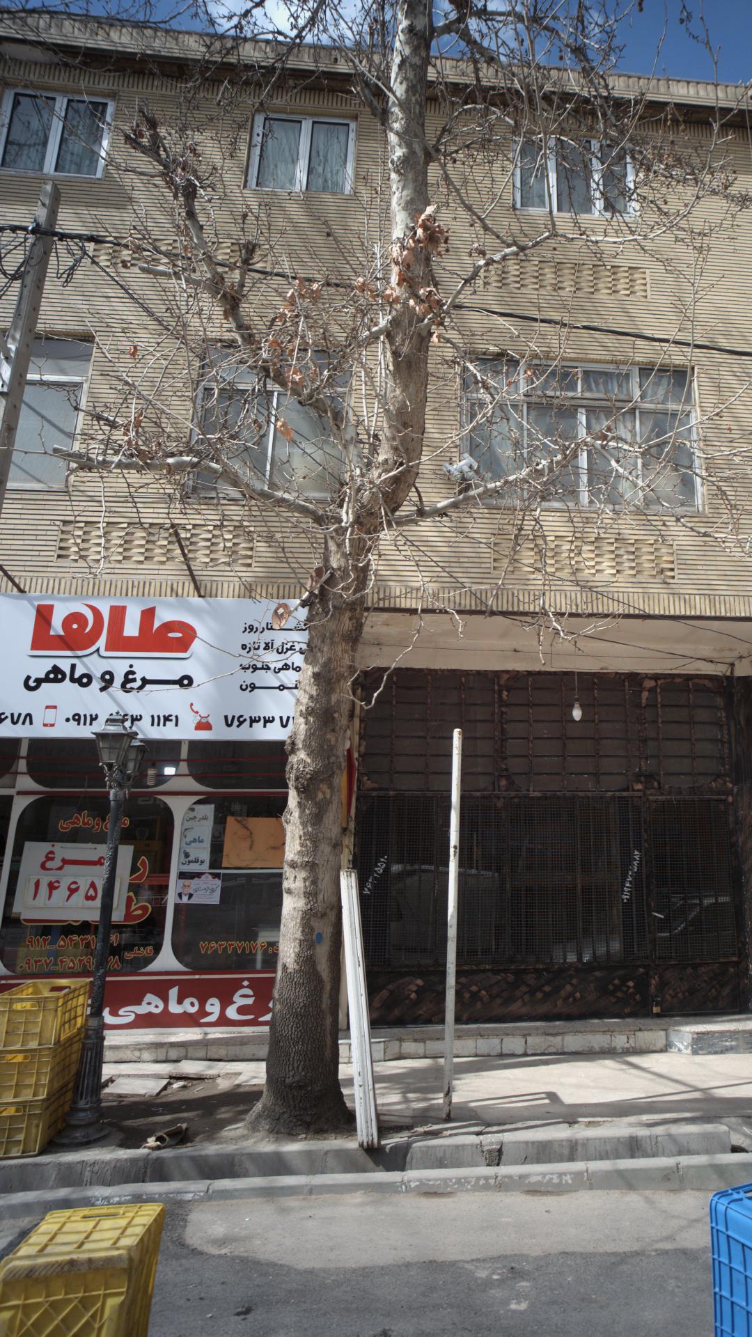 سوپر مرغ و ماهی طاها