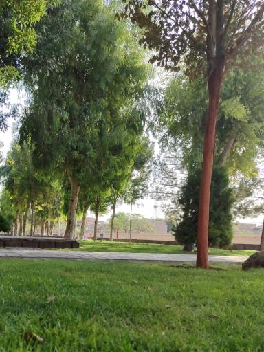 بوستان فاطمیه ۱