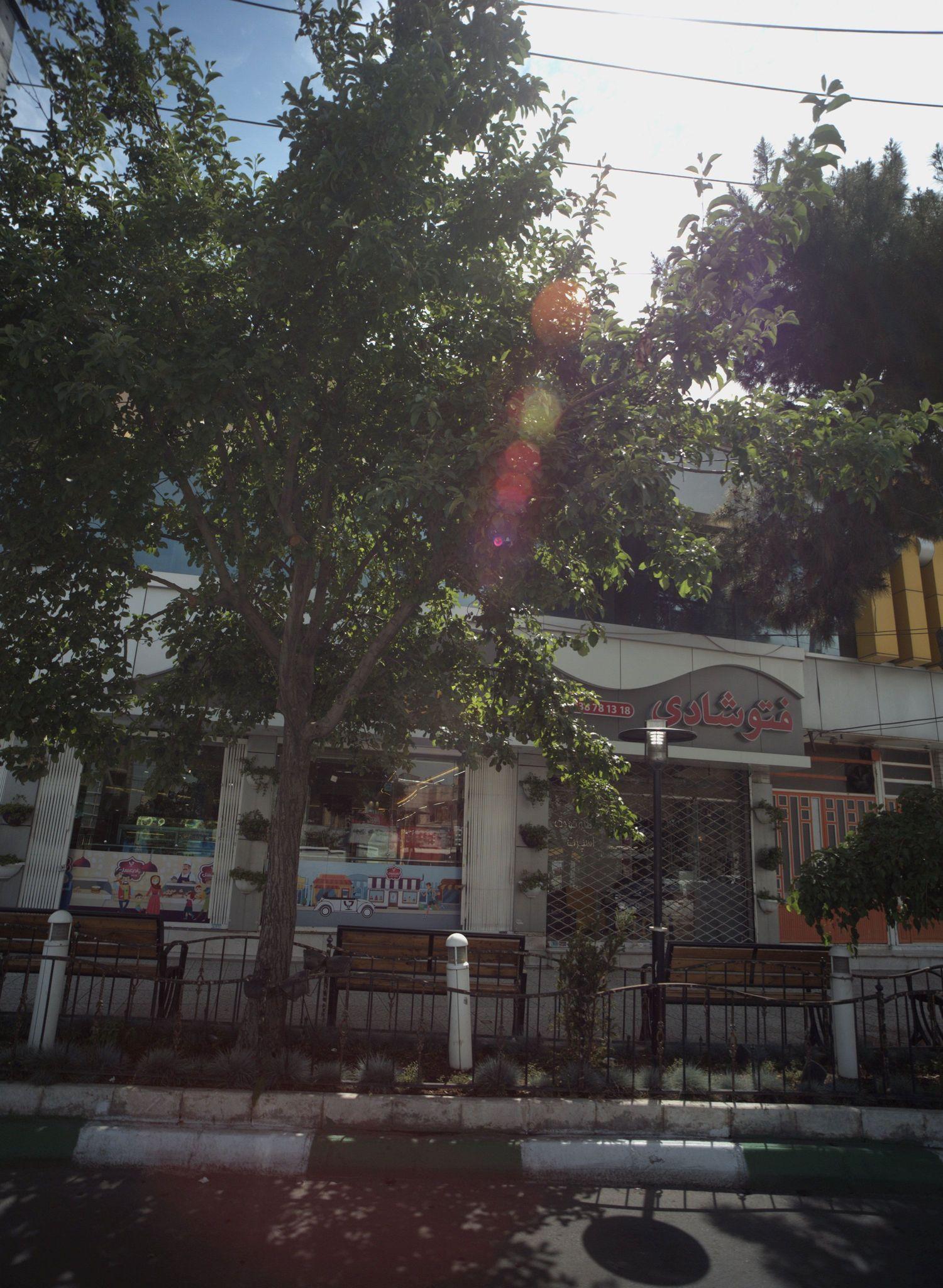 آتلیه فتوشادی