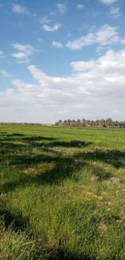 مدرسه‌ غزاویه بزرگ