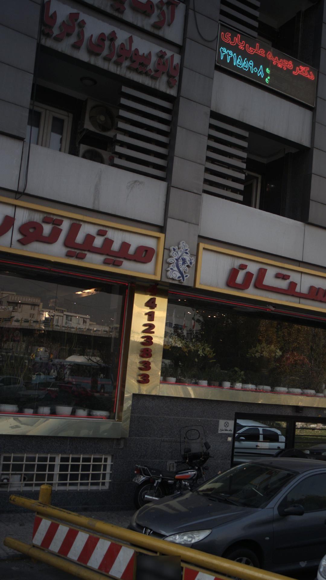 گلستان مینیاتور