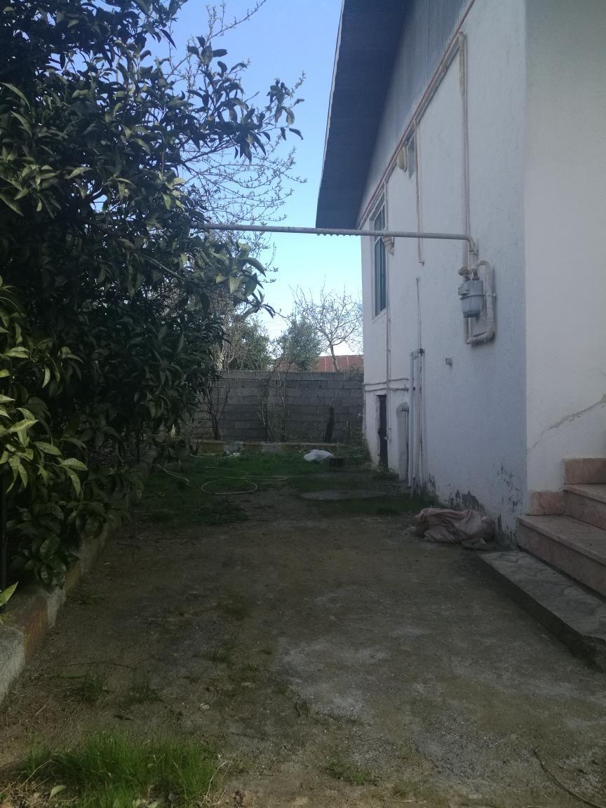 بوم گردی و باغ کیوی