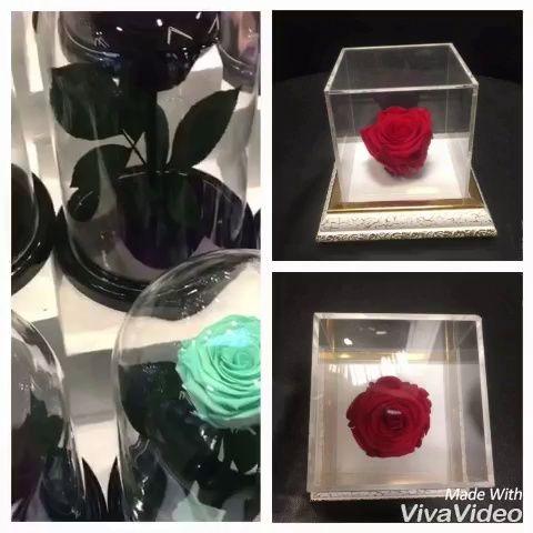 گلفروشی گل سرخ