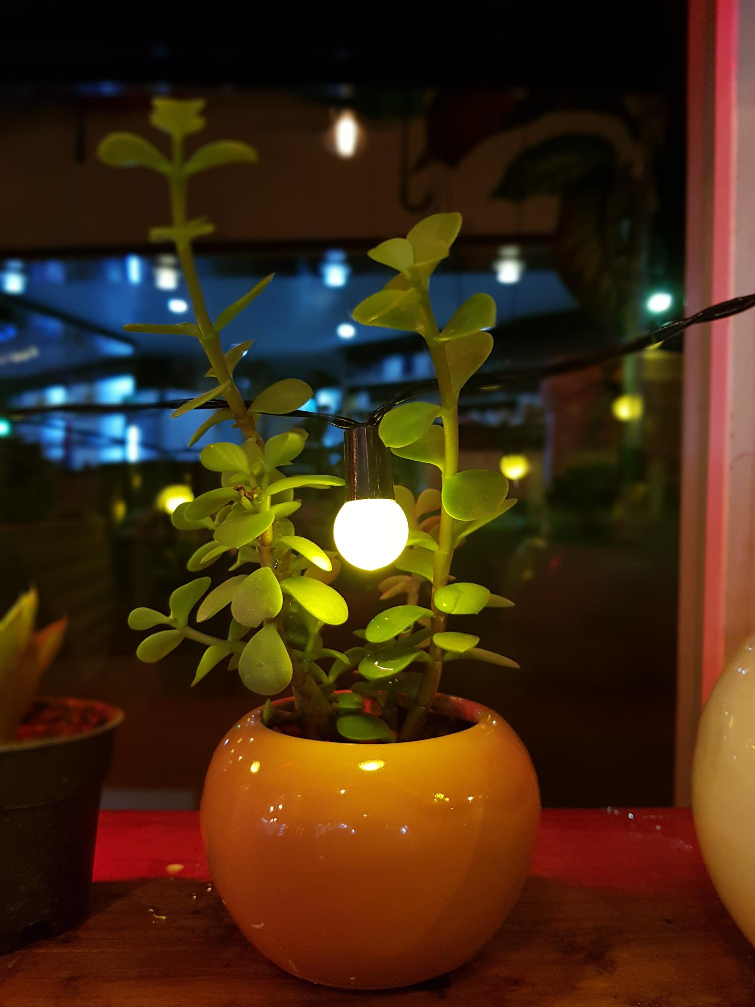 کافه کتاب نگاتیو