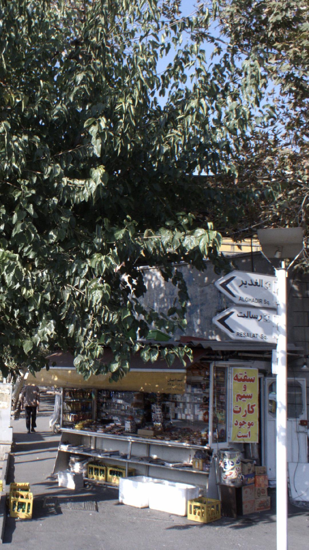 مواد غذایی هنگام