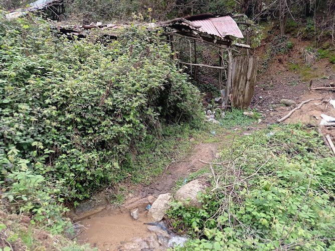 کلبه چوبی پناهی