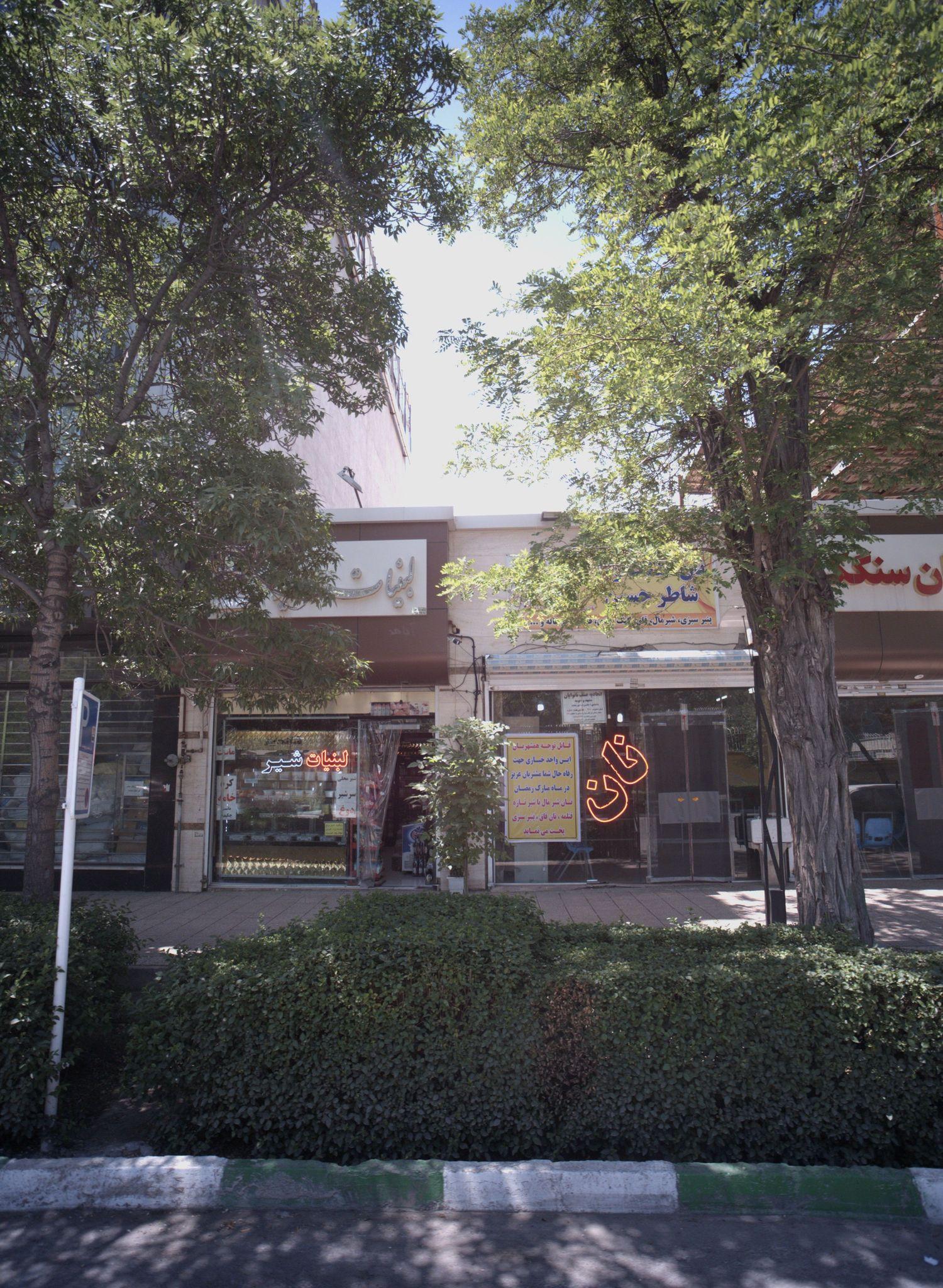 لبنیات شاندیز