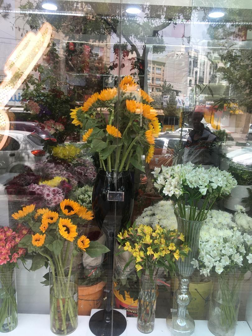 گل فروشی شمعدونی
