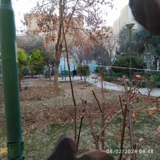 سرویس بهداشتی بوستان شیخ هادی