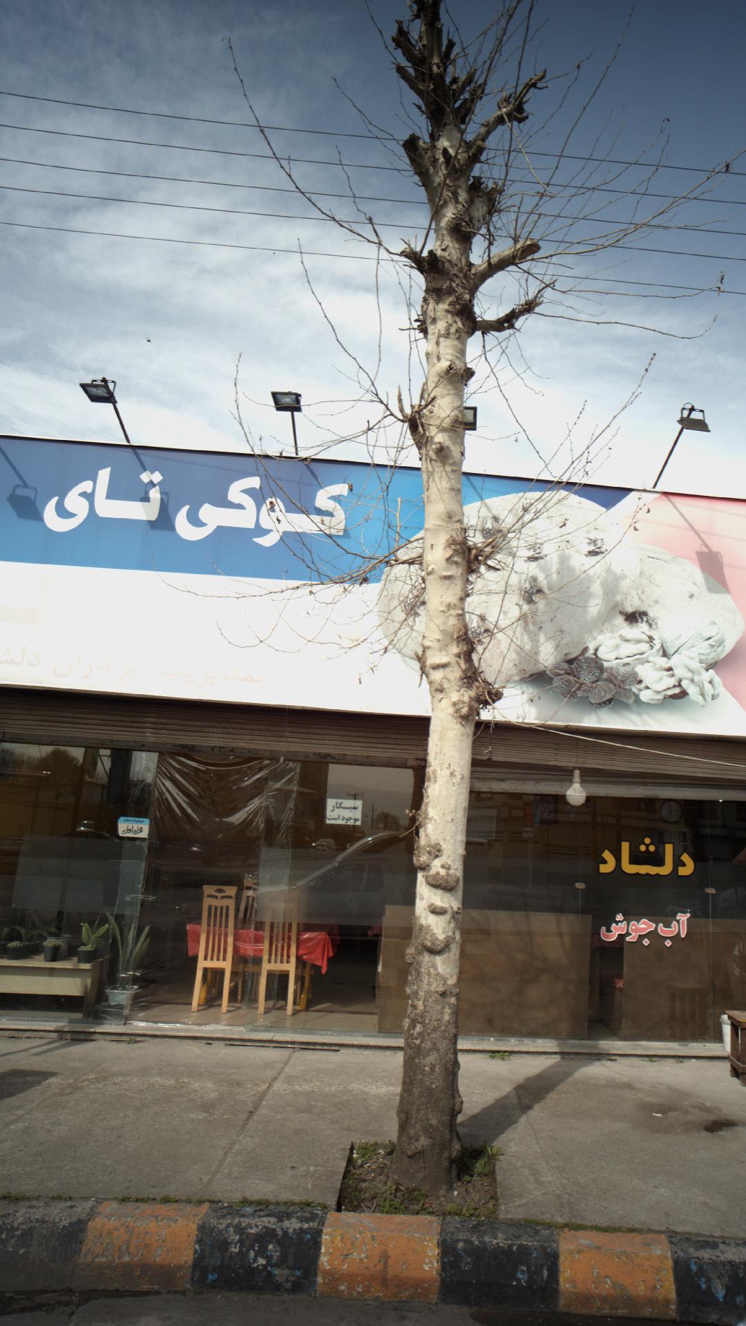 دلشاد