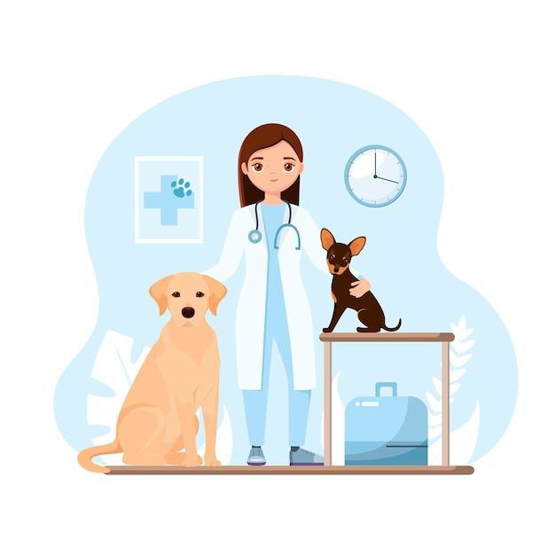 دامپزشکی و پت‌شاپ دکتر عزیزی