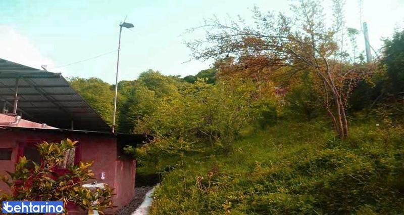 روستای چالی