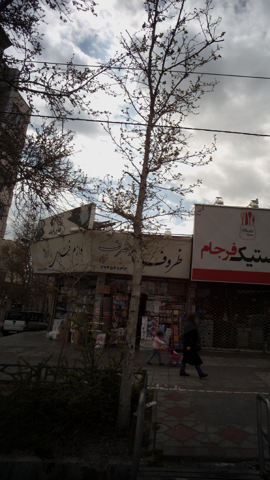 عینک جشنواره
