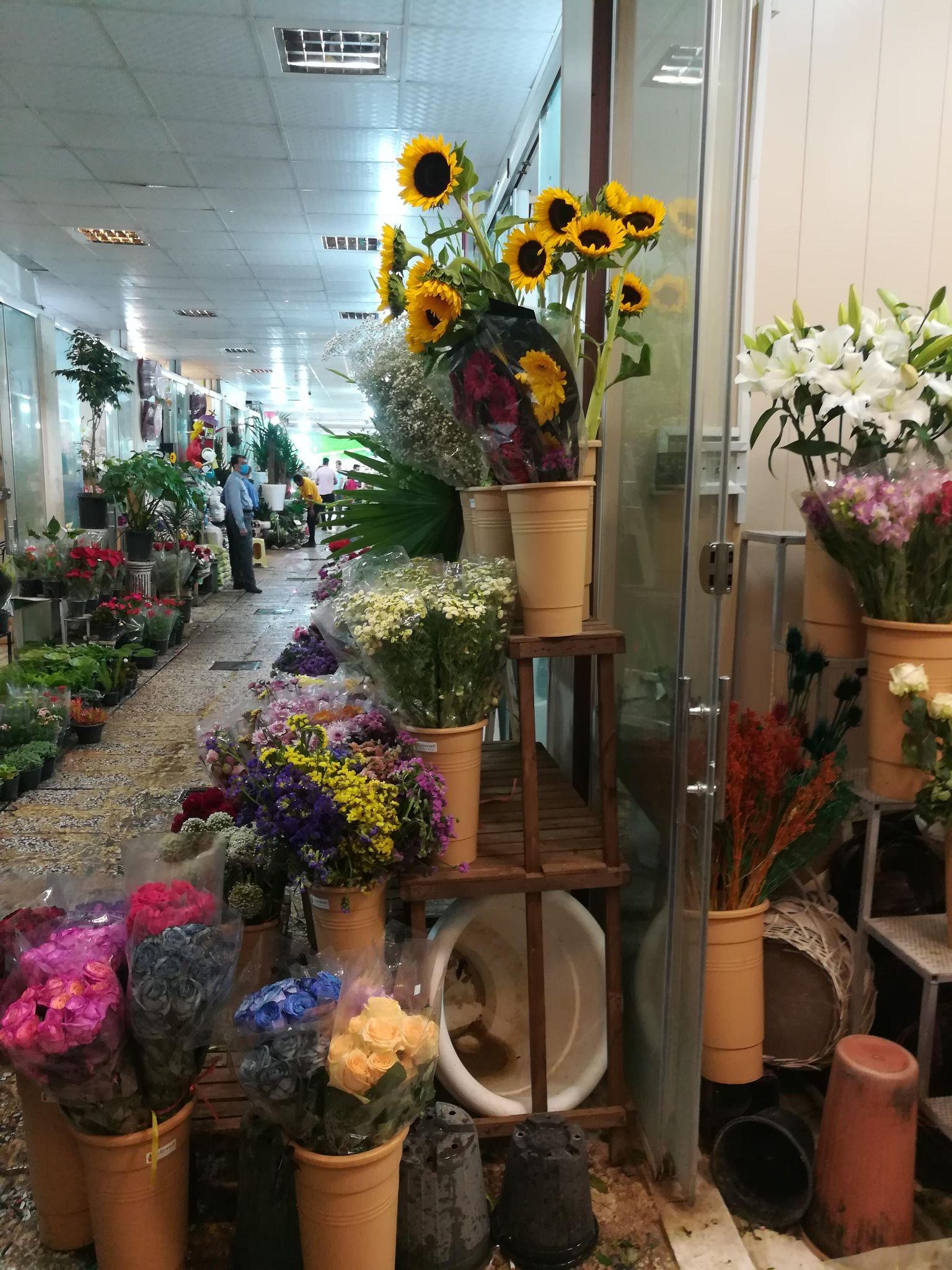 فاز باغچه ای بازار گل وگیاه غرب تهران