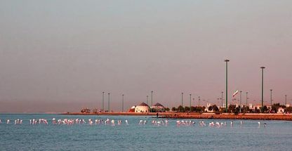 پارک دولت بندرعباس