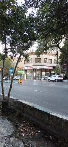 داروخانه روژینا