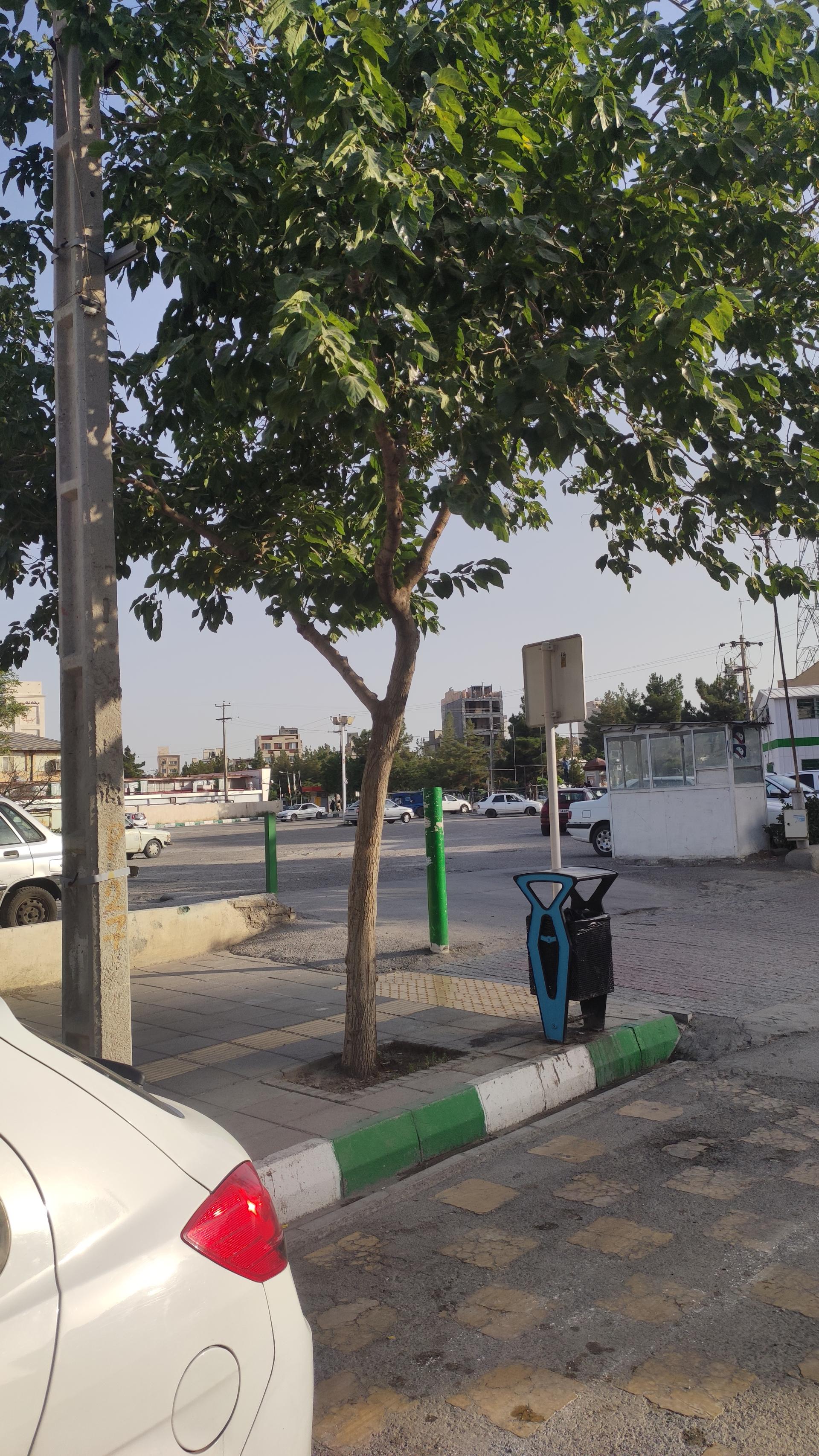 پارکینگ سینما سیمرغ