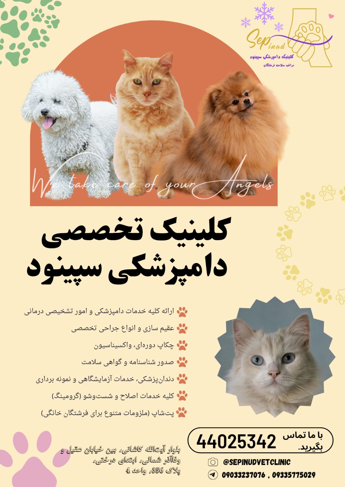 کلینیک دامپزشکی، گرومینگ و پت شاپ سپینود