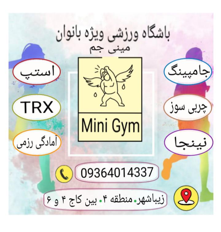 مینی جم ، Mini gym