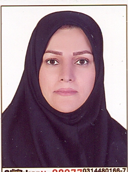 وکیل سمیه عبداللهی ارجنکی