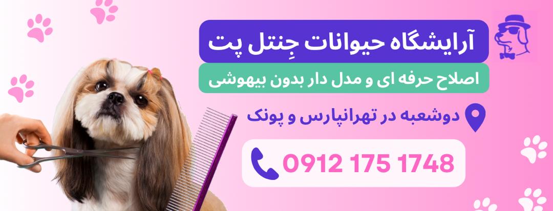 ارایشگاه حیوانات جنتل پت (تهرانپارس)