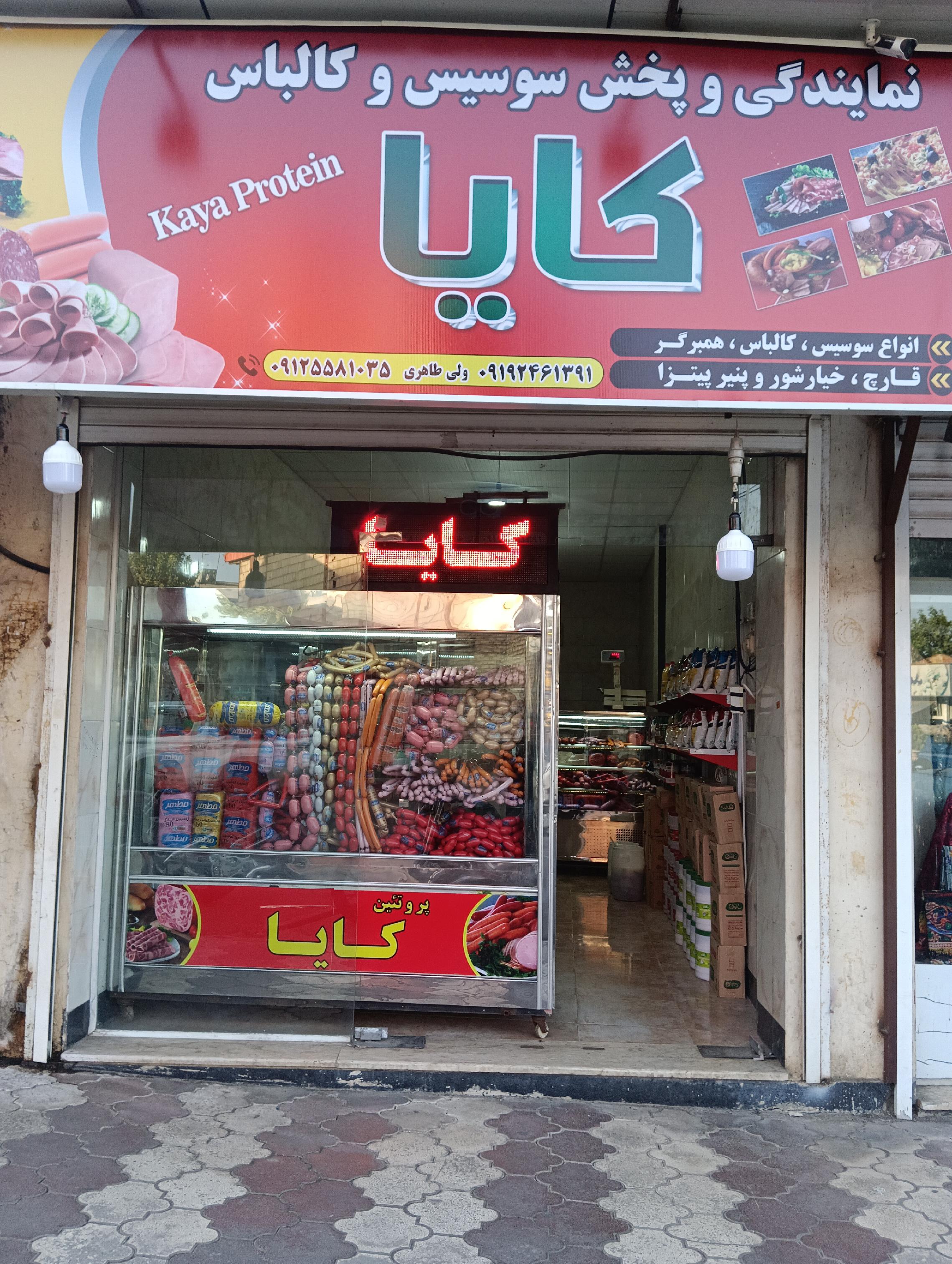 پروتیین کایا