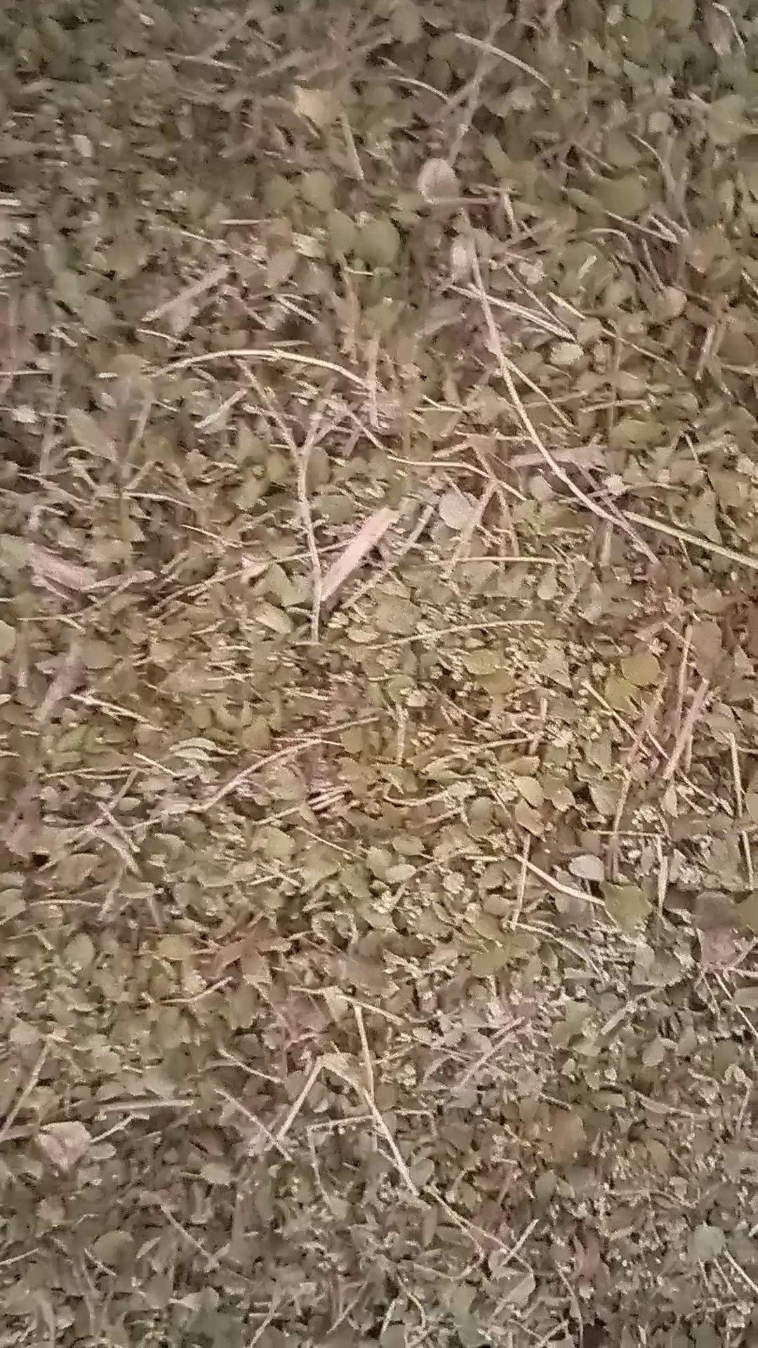 فروش عمده محصولات گیاهی وطبیعی