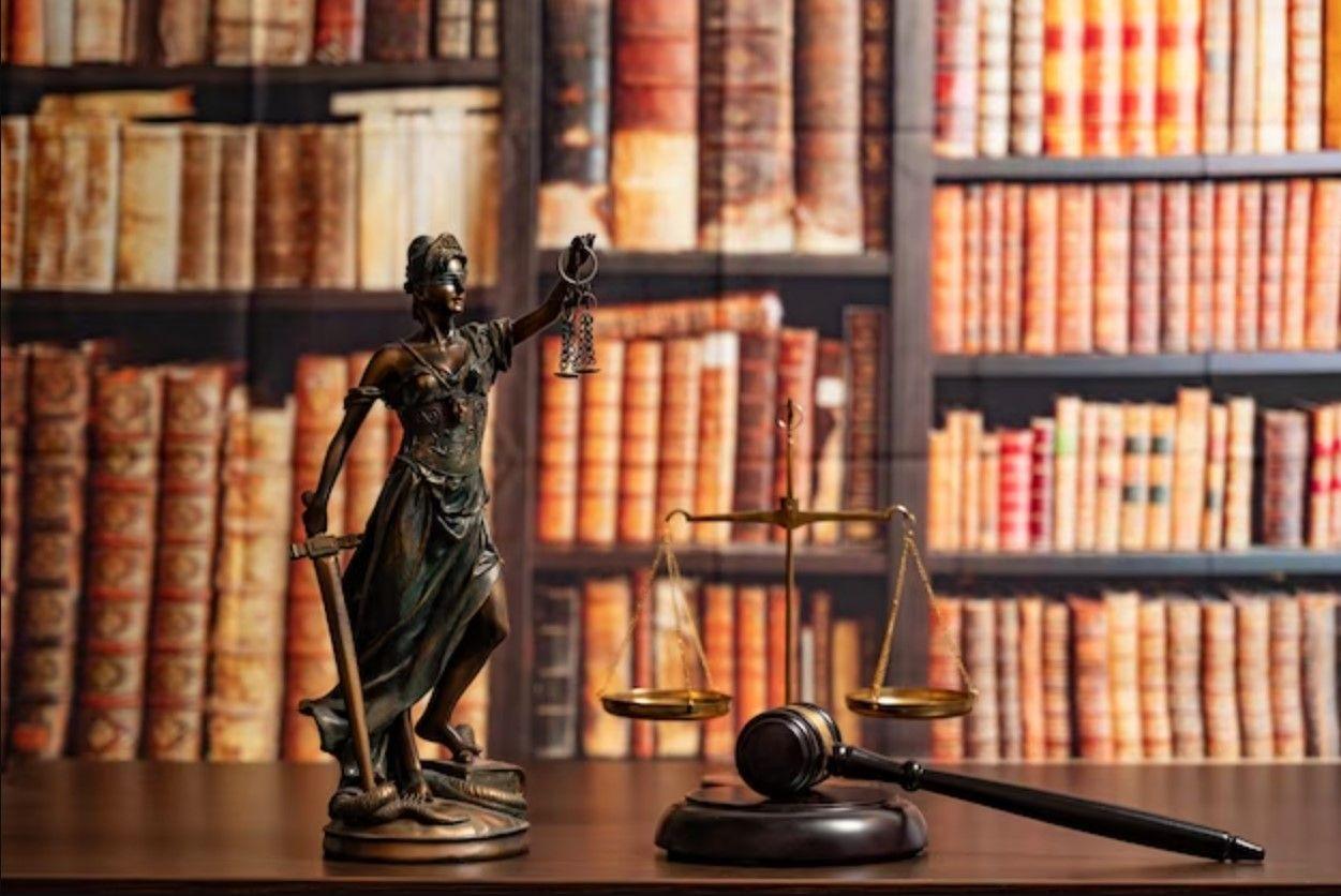 محمدرضا رئیسی - وکیل پایه یک دادگستری