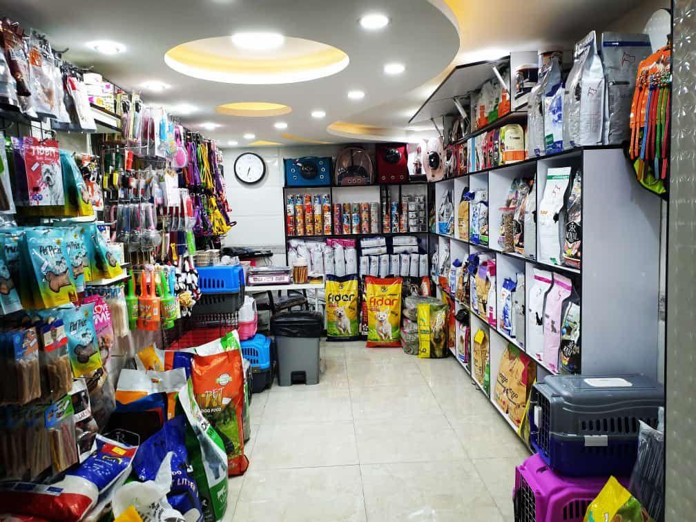 پت شاپ باتلاق