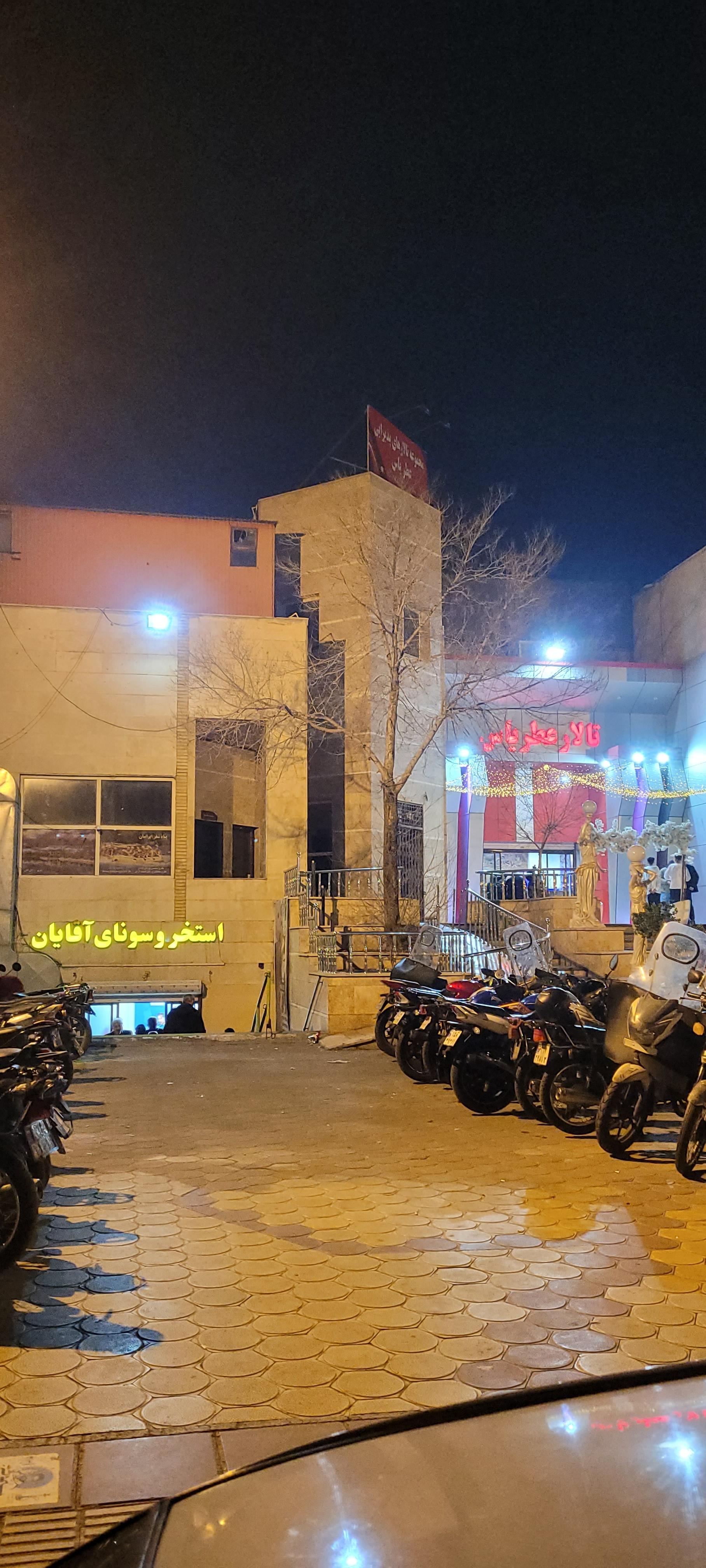 یوگا در آب استخر دلفین آبی