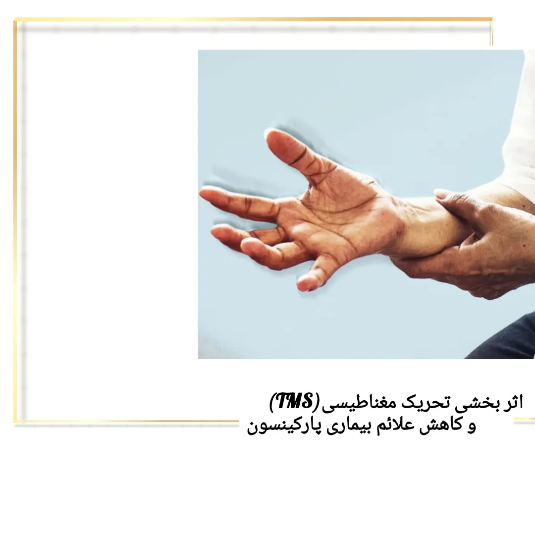 دکتر فائزه حیدربگی