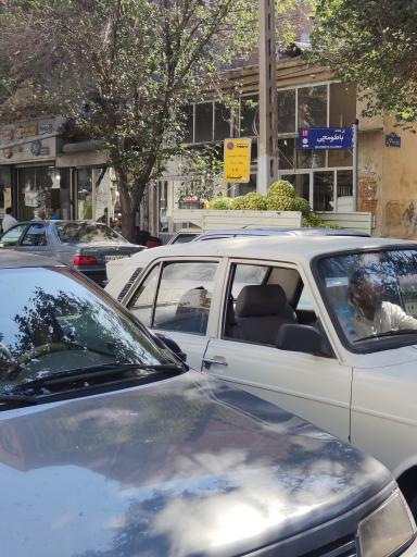 نان بربری امید